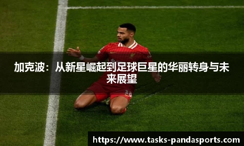 加克波：从新星崛起到足球巨星的华丽转身与未来展望