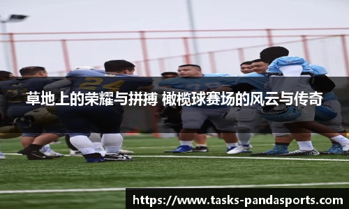 熊猫体育官网