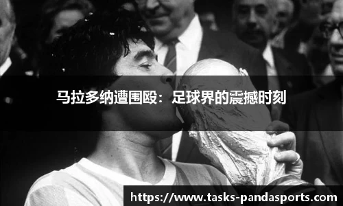 熊猫体育